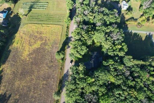 dji_fly_20260910_090204_579_1789049416242_photo.jpg