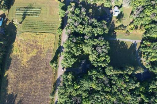 dji_fly_20260910_090356_581_1789049406679_photo.jpg