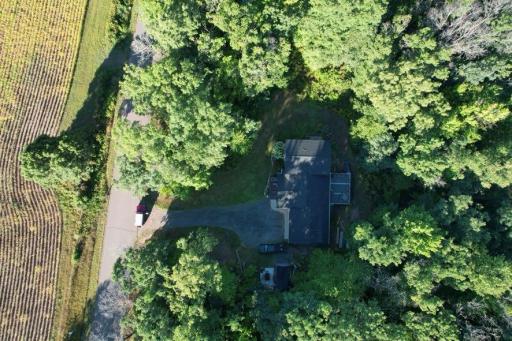 dji_fly_20260910_090430_582_1789049404183_photo.jpg