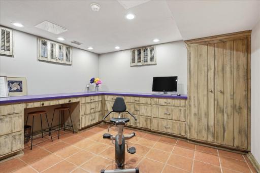 Lower level flex room. Office? Storage? Workout room? Other?
