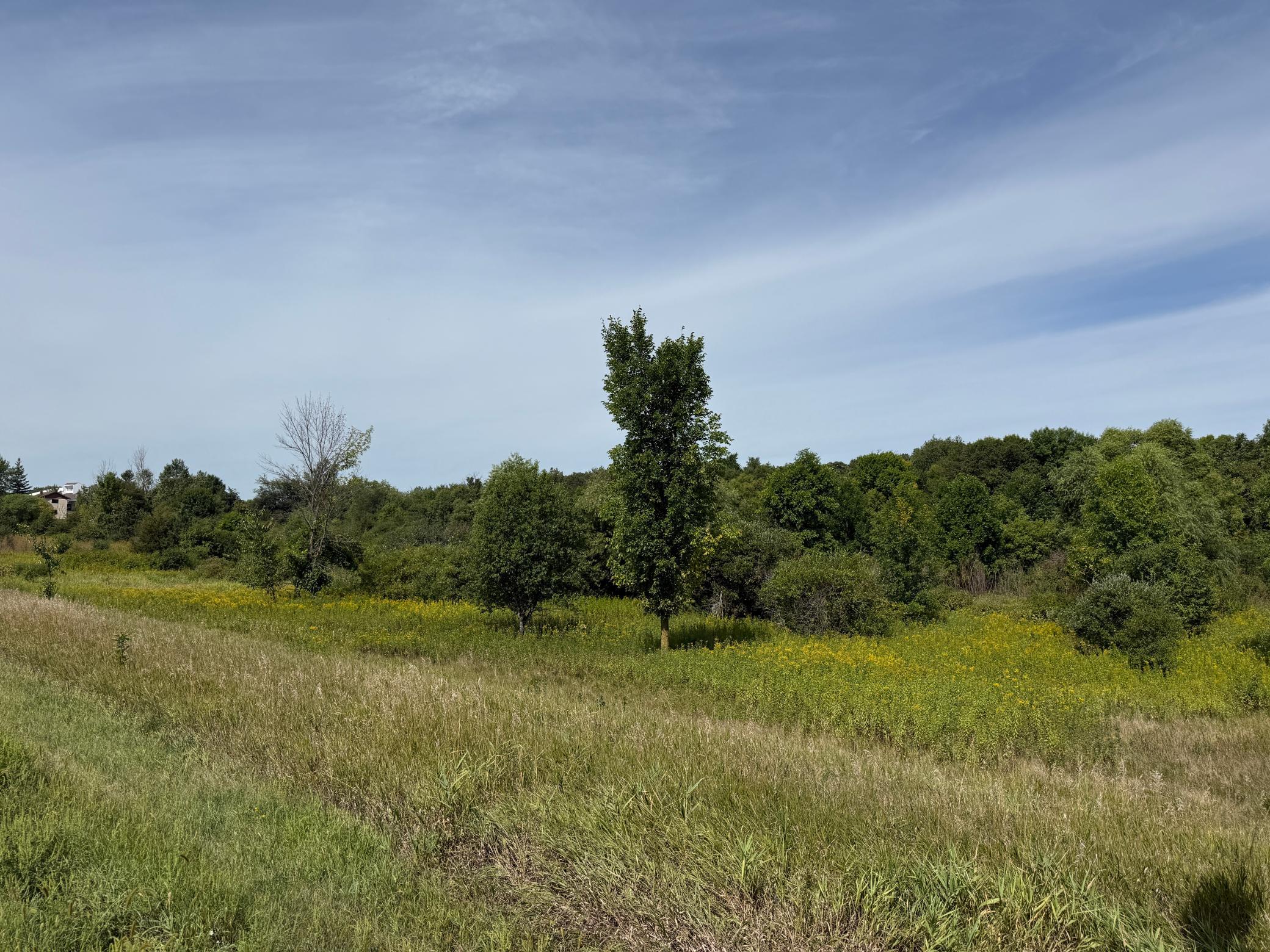 The level land features medium tree coverage, providing a nice mix of open space and privacy.