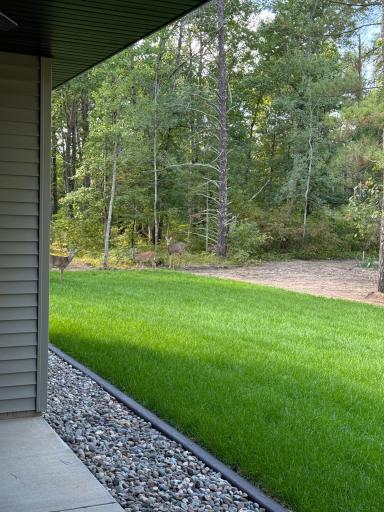 6474 E Clark Lake Lane, Nisswa, MN 56468