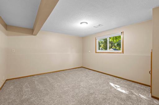Lower level family room