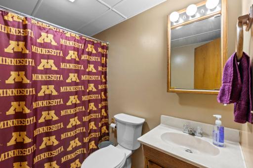 Lower level full bathroom