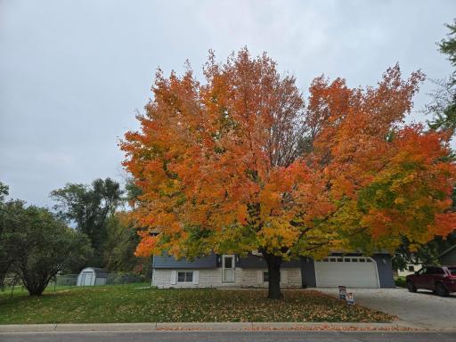 880 5th Street N, Dassel, MN 55325