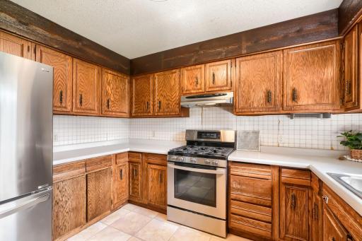 311 Dakota Street W, Vermillion, MN 55085
