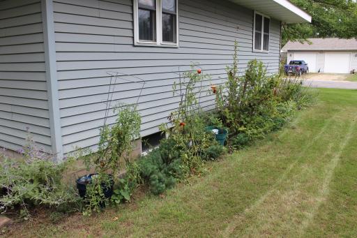 215 1st Avenue SE, Melrose, MN 56352