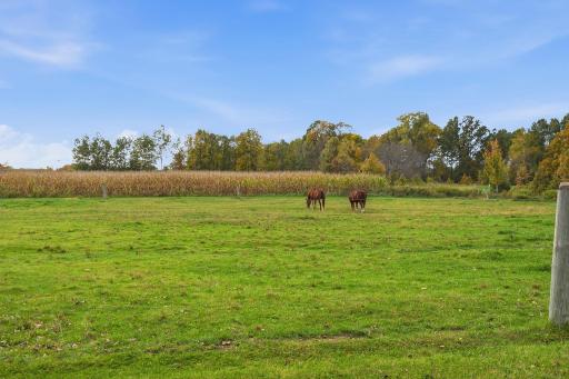 1044 290th Street, Glenwood City, WI 54013