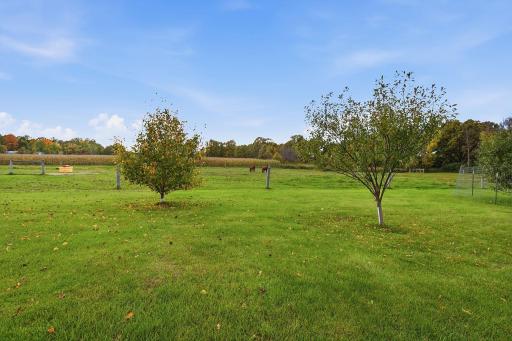 1044 290th Street, Glenwood City, WI 54013