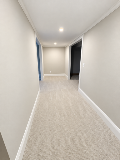 Lower level hall.png