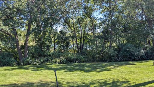 Backyard_lakeview.jpg