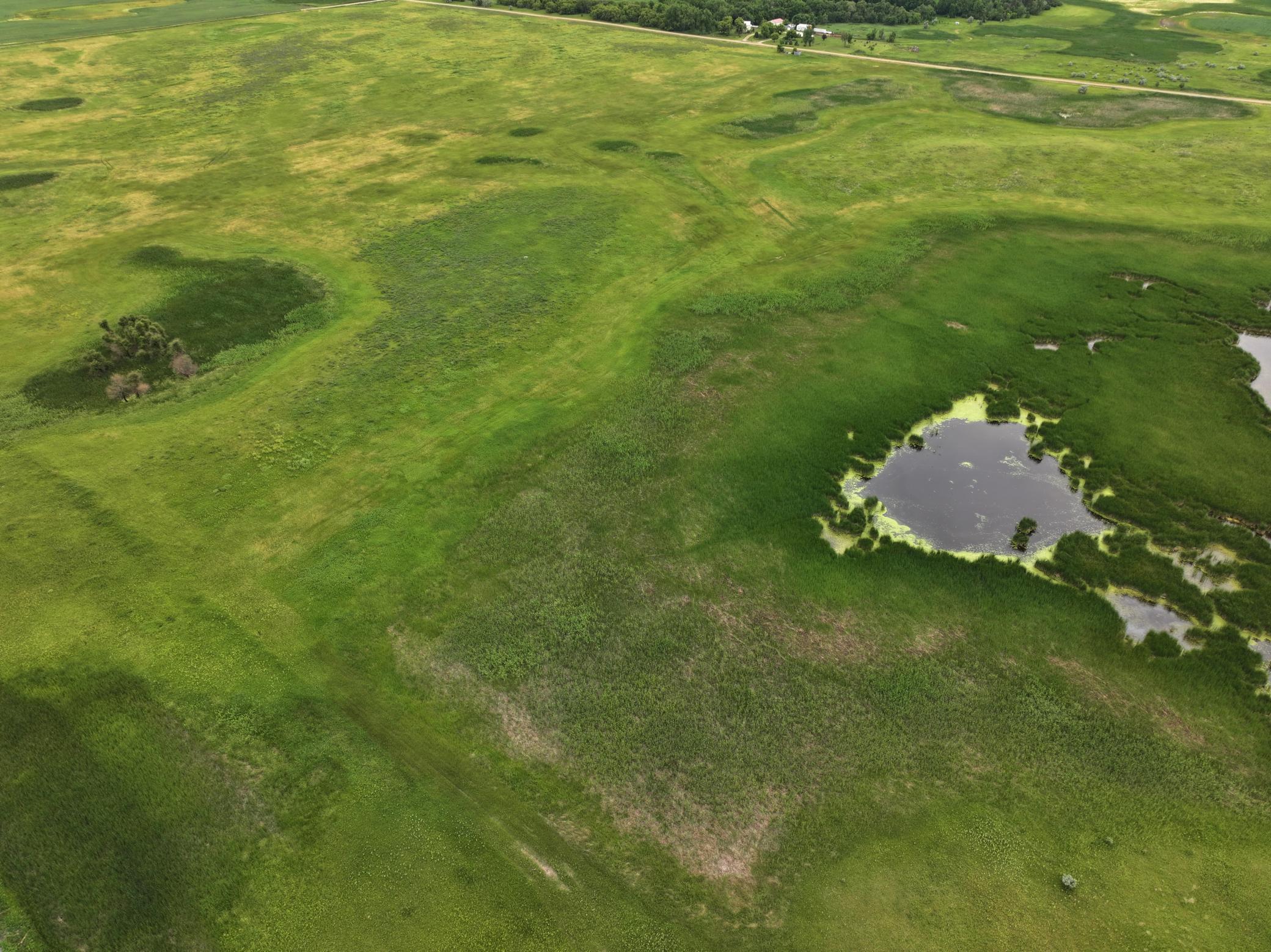 DJI_20260602165708_0014_D.jpeg
