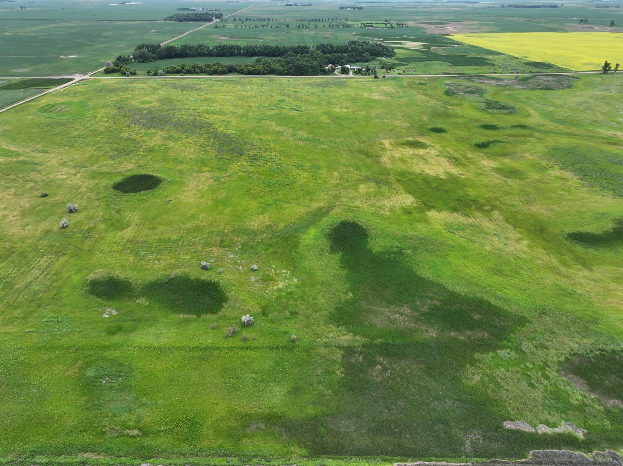 DJI_20260602165547_0011_D.jpeg