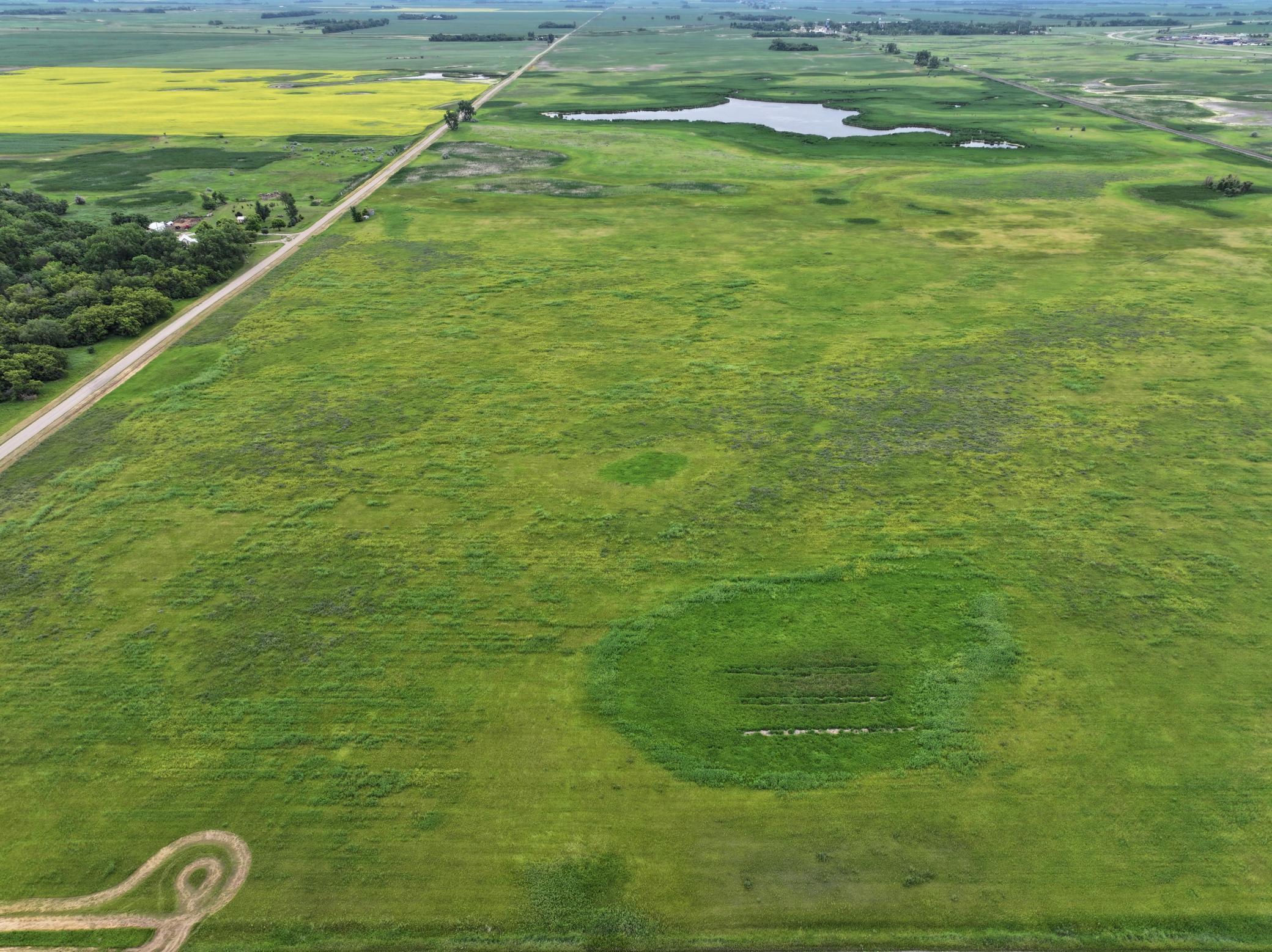 DJI_20260602165419_0007_D.jpeg