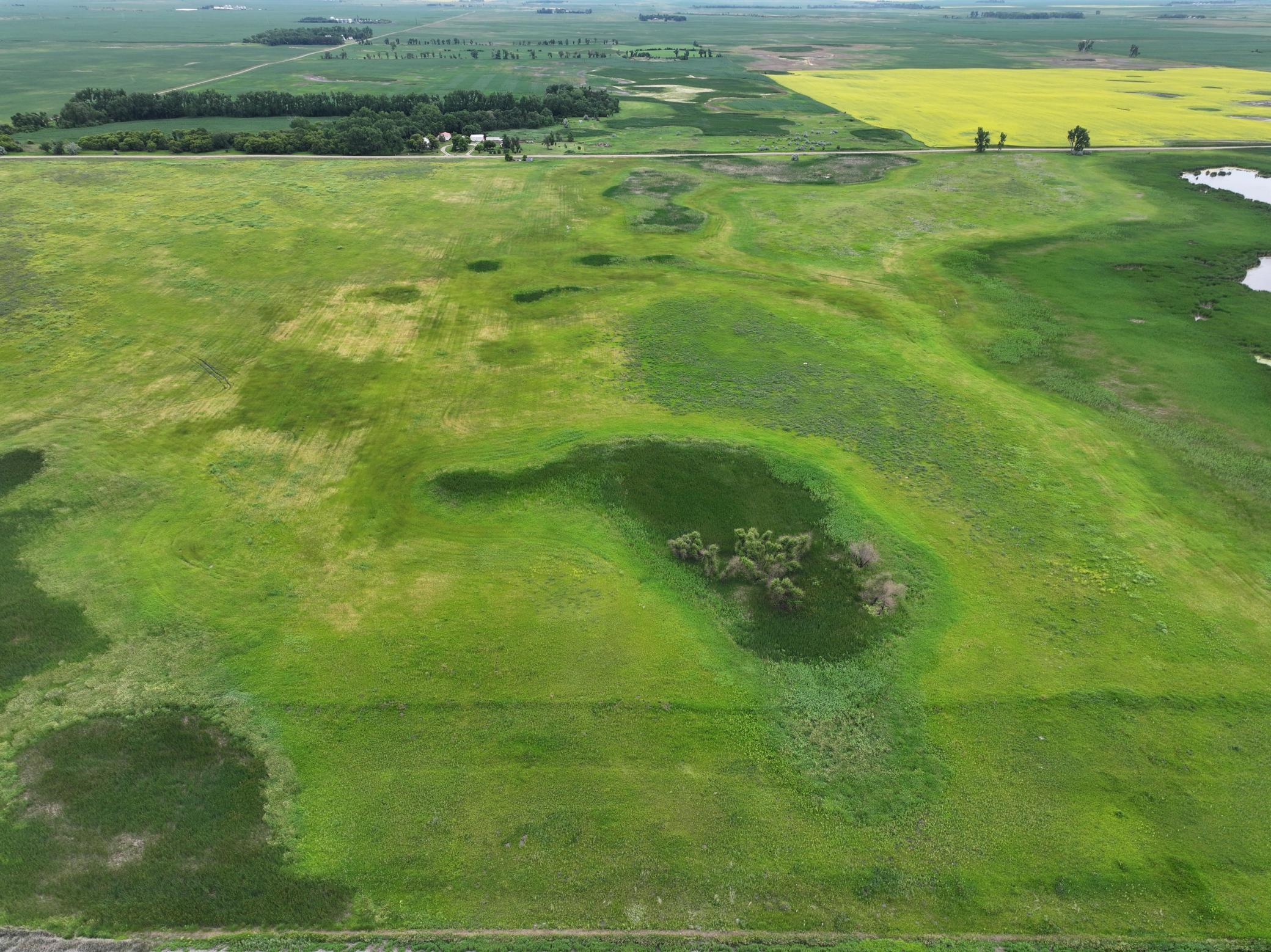 DJI_20260602165606_0012_D.jpeg