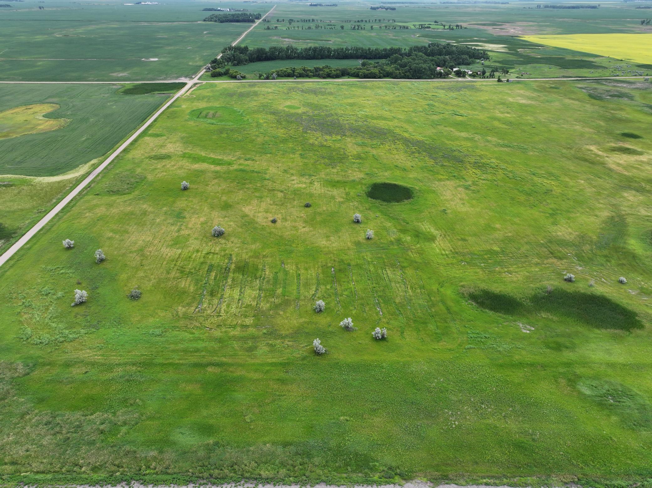 DJI_20260602165533_0010_D.jpeg