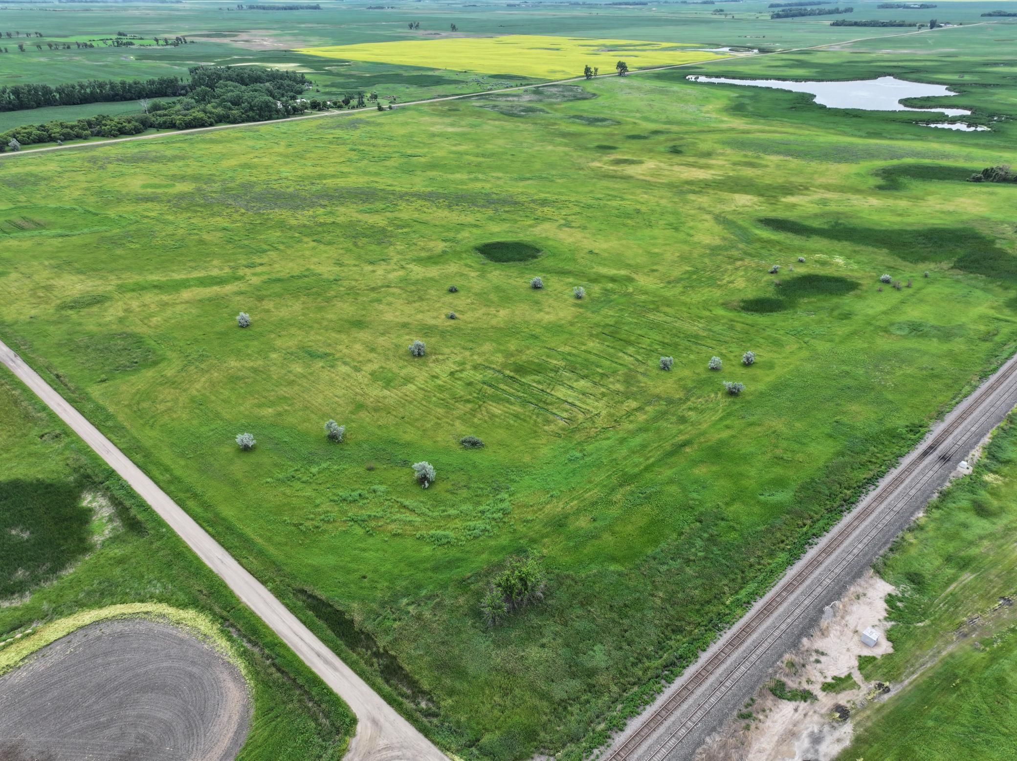 DJI_20260602165508_0009_D.jpeg