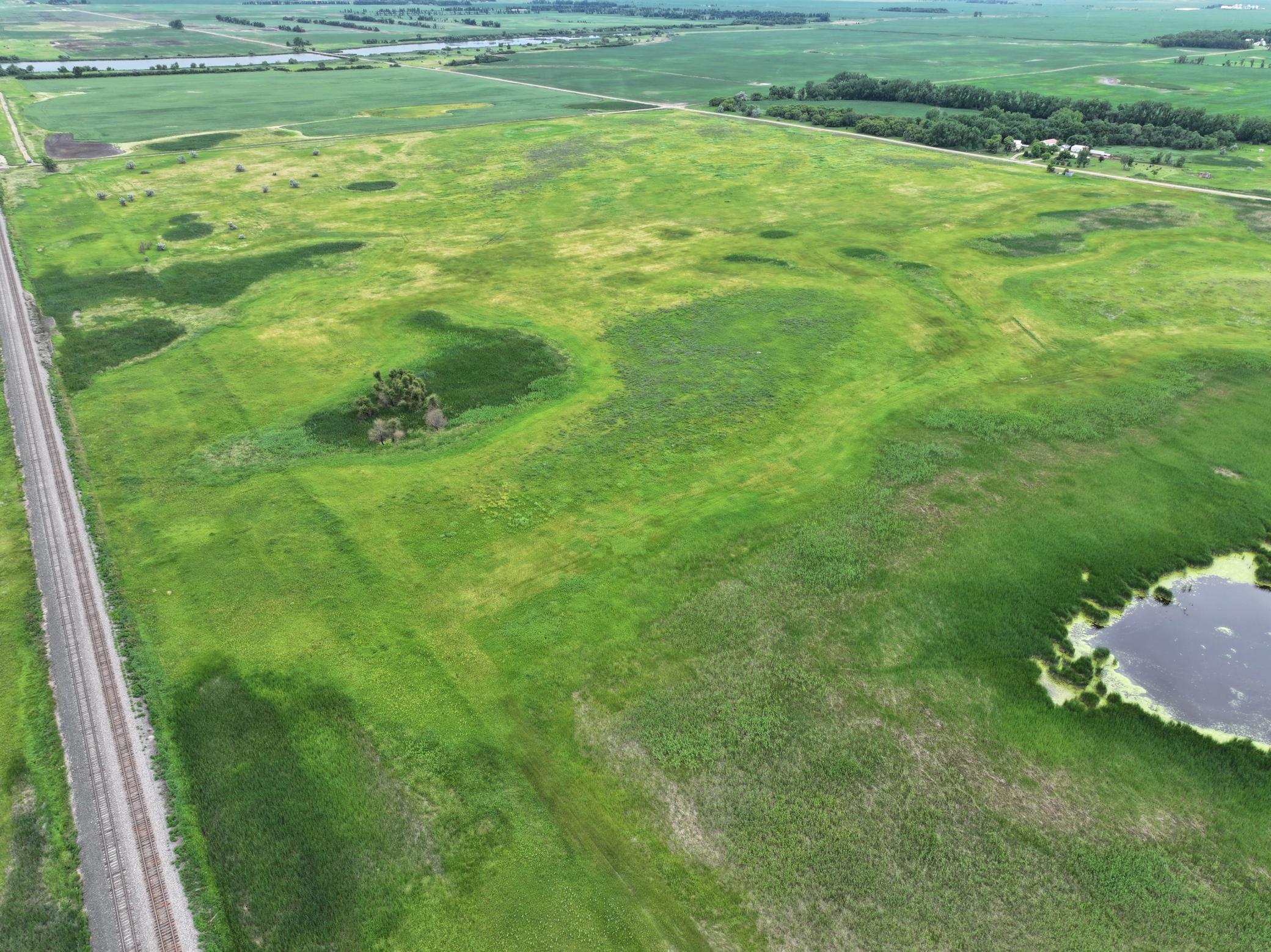 DJI_20260602165655_0013_D.jpeg
