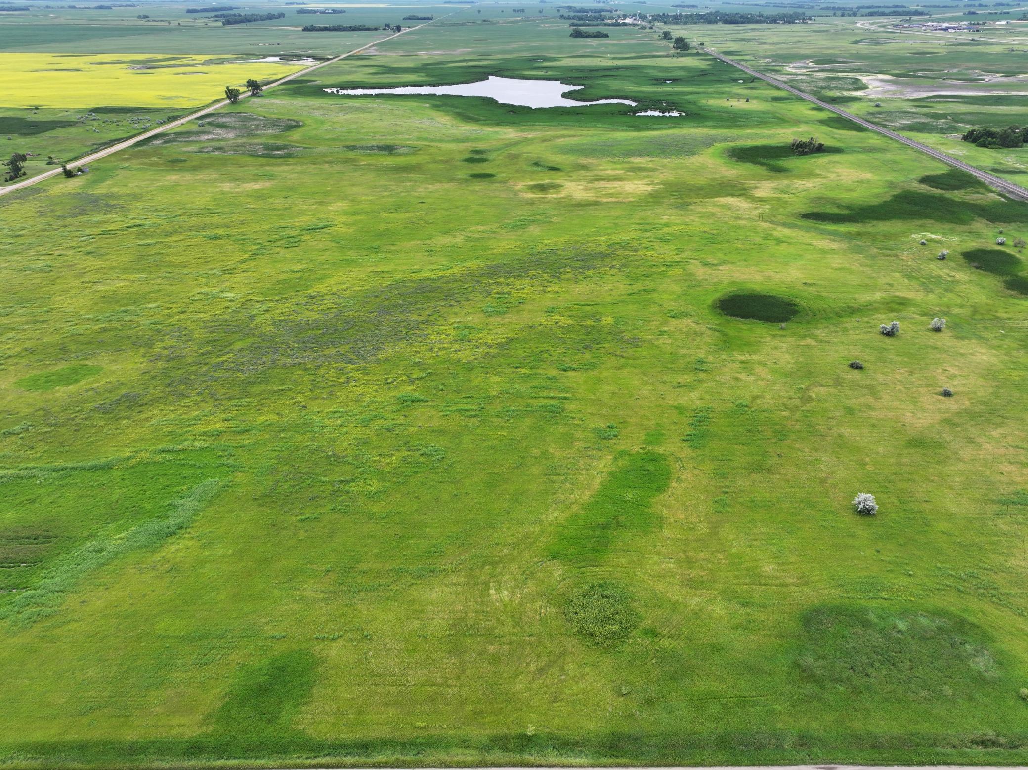 DJI_20260602165433_0008_D.jpeg