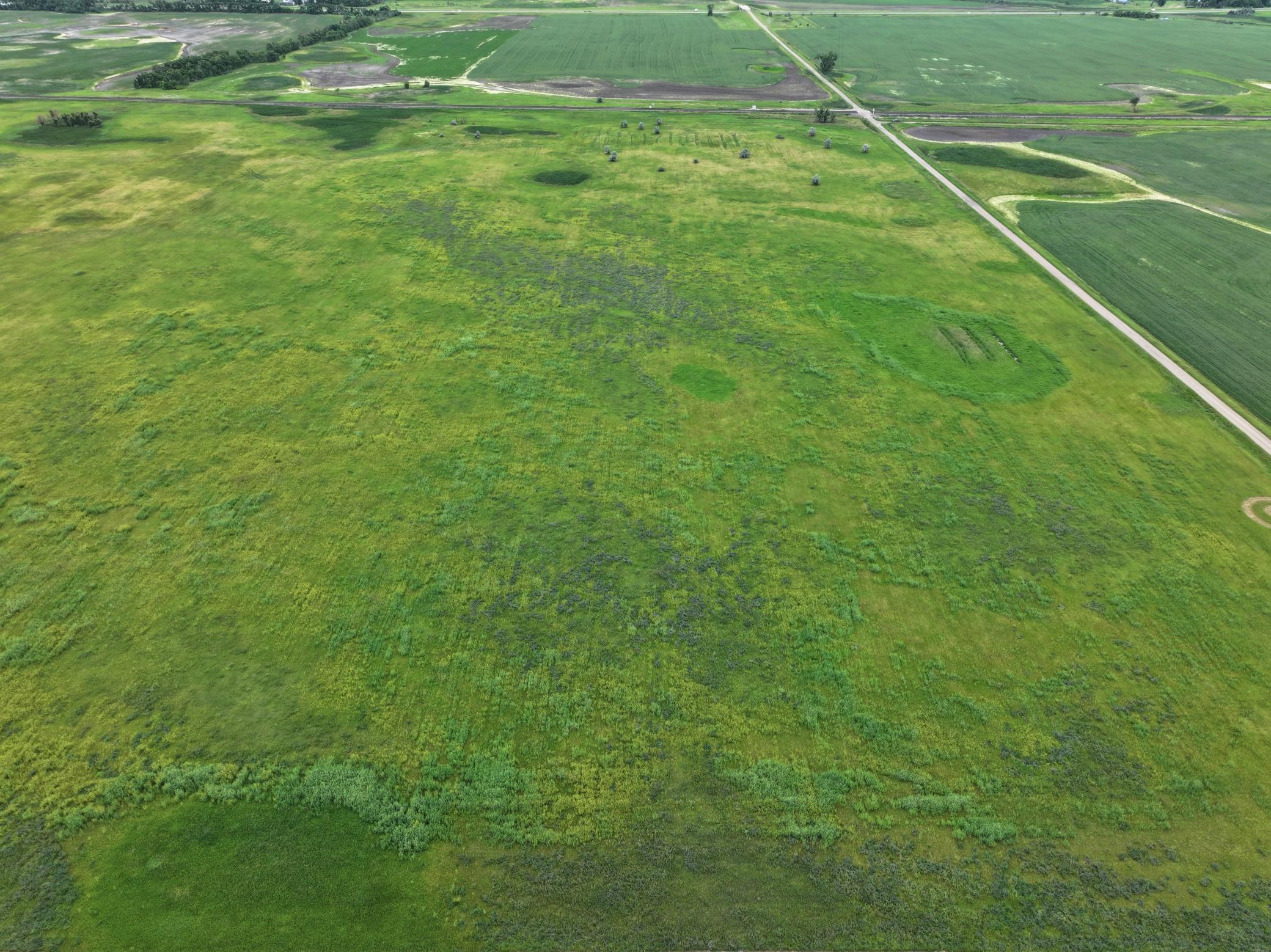 DJI_20260602164948_0002_D.jpeg