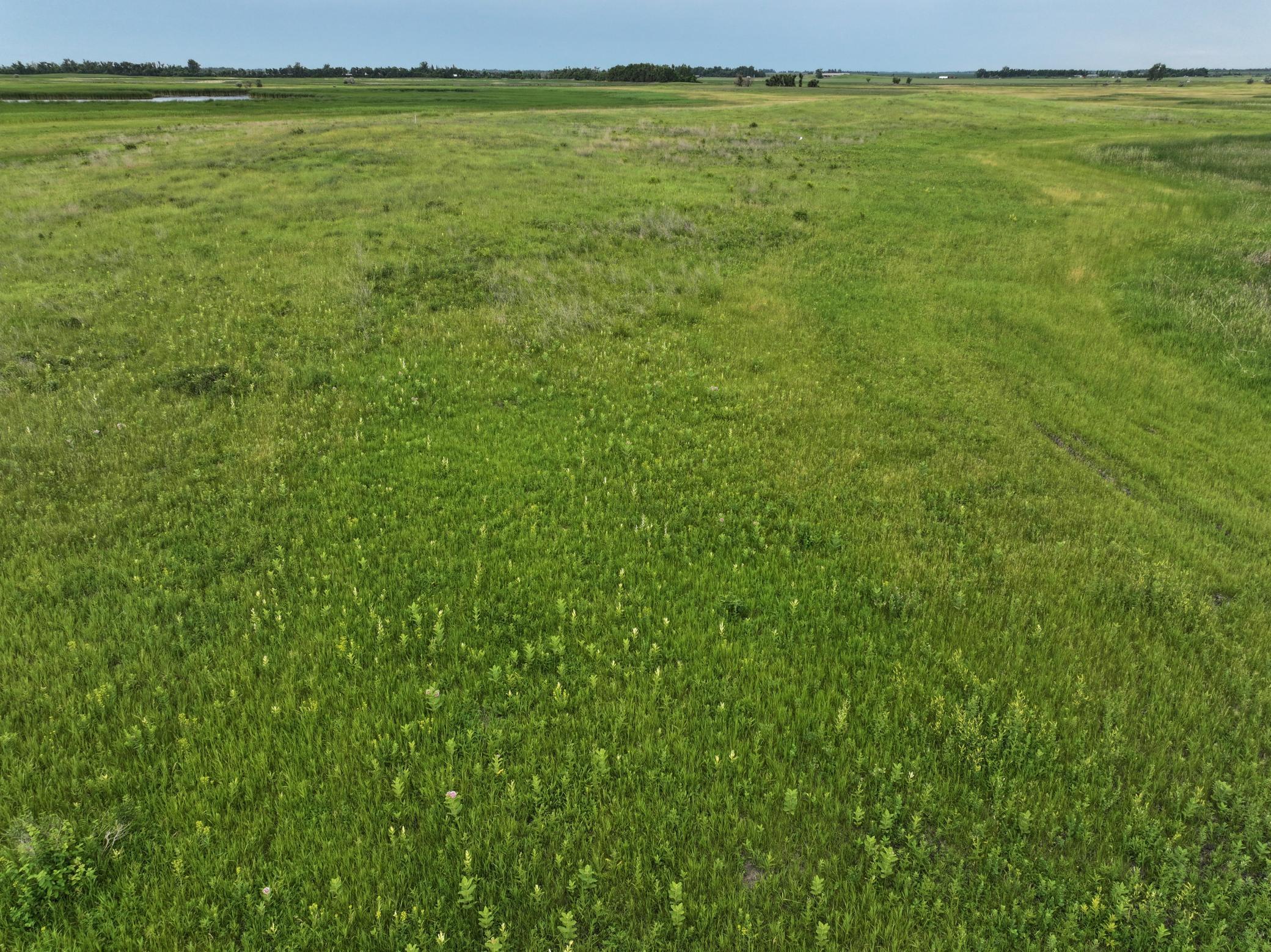 DJI_20260602165928_0017_D.jpeg