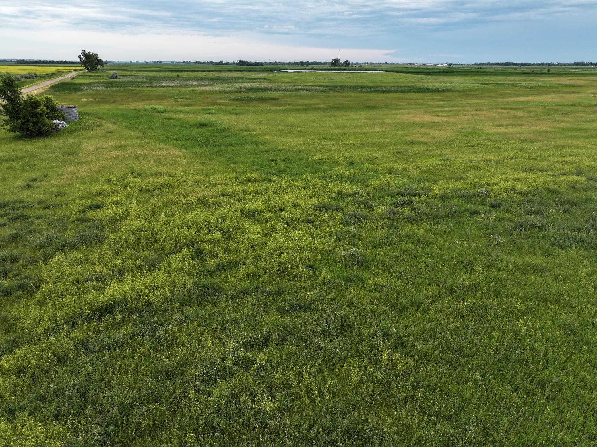 DJI_20260602171521_0029_D.jpeg