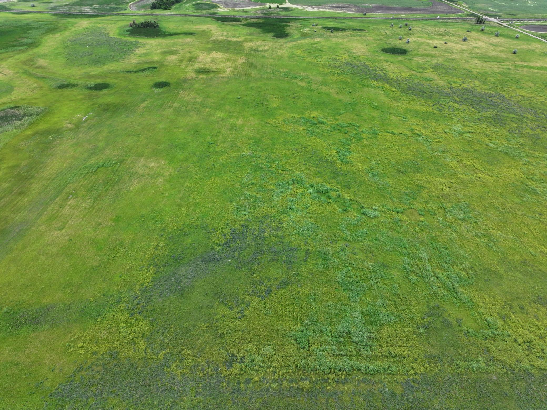 DJI_20260602165010_0003_D.jpeg