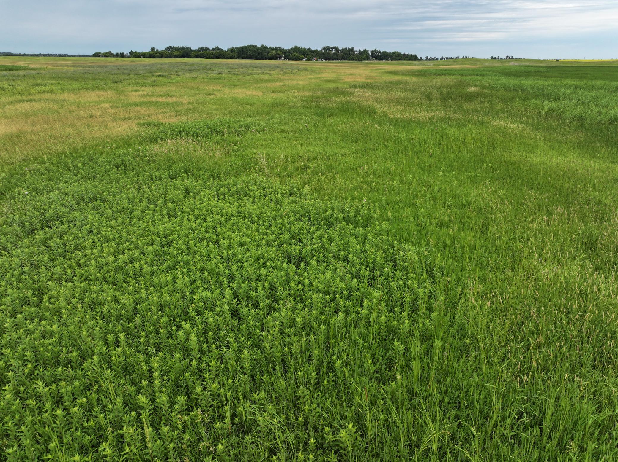DJI_20260602172211_0039_D.jpeg