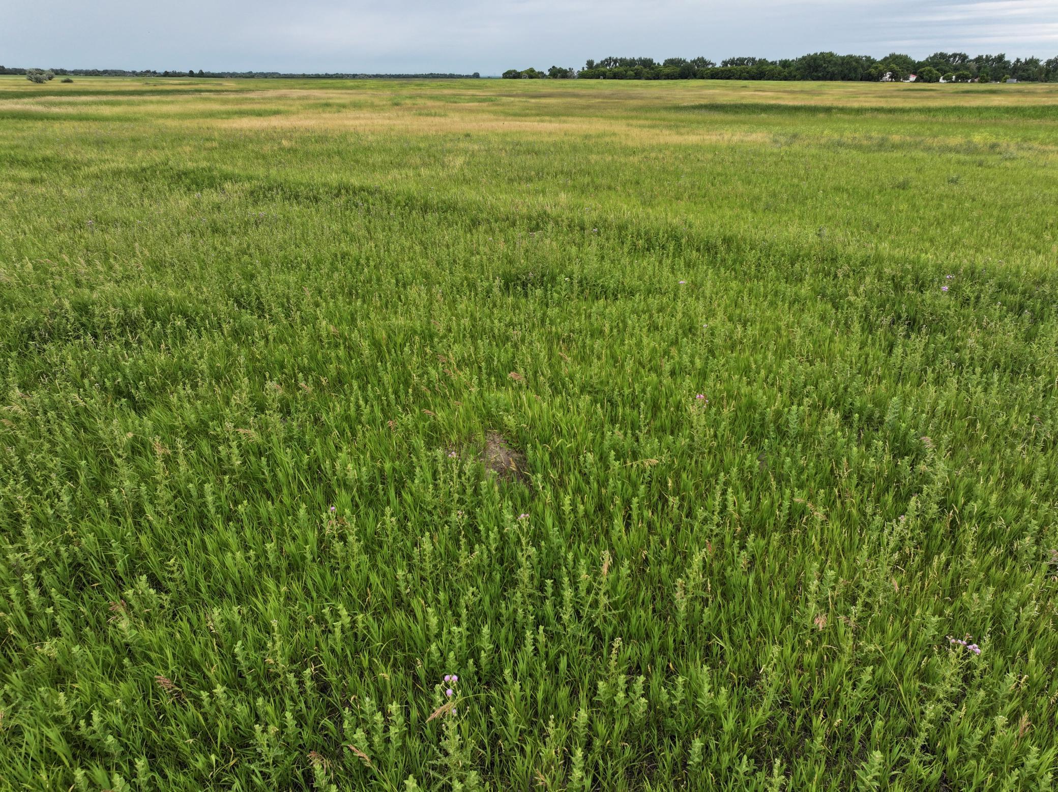 DJI_20260602172259_0041_D.jpeg