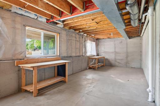 Unfinished Basement
