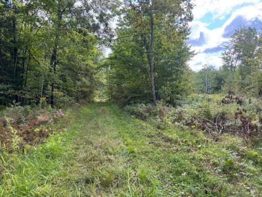A look down the driveway towards the road.