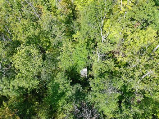 Deer stand included.