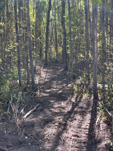 57731 Loon Avenue, Mcgregor, MN 55760