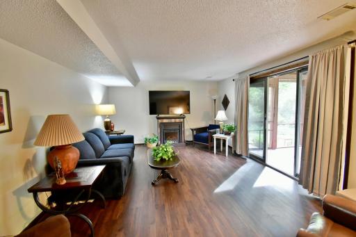 Lower level and spacious family room with newer LVP flooring.