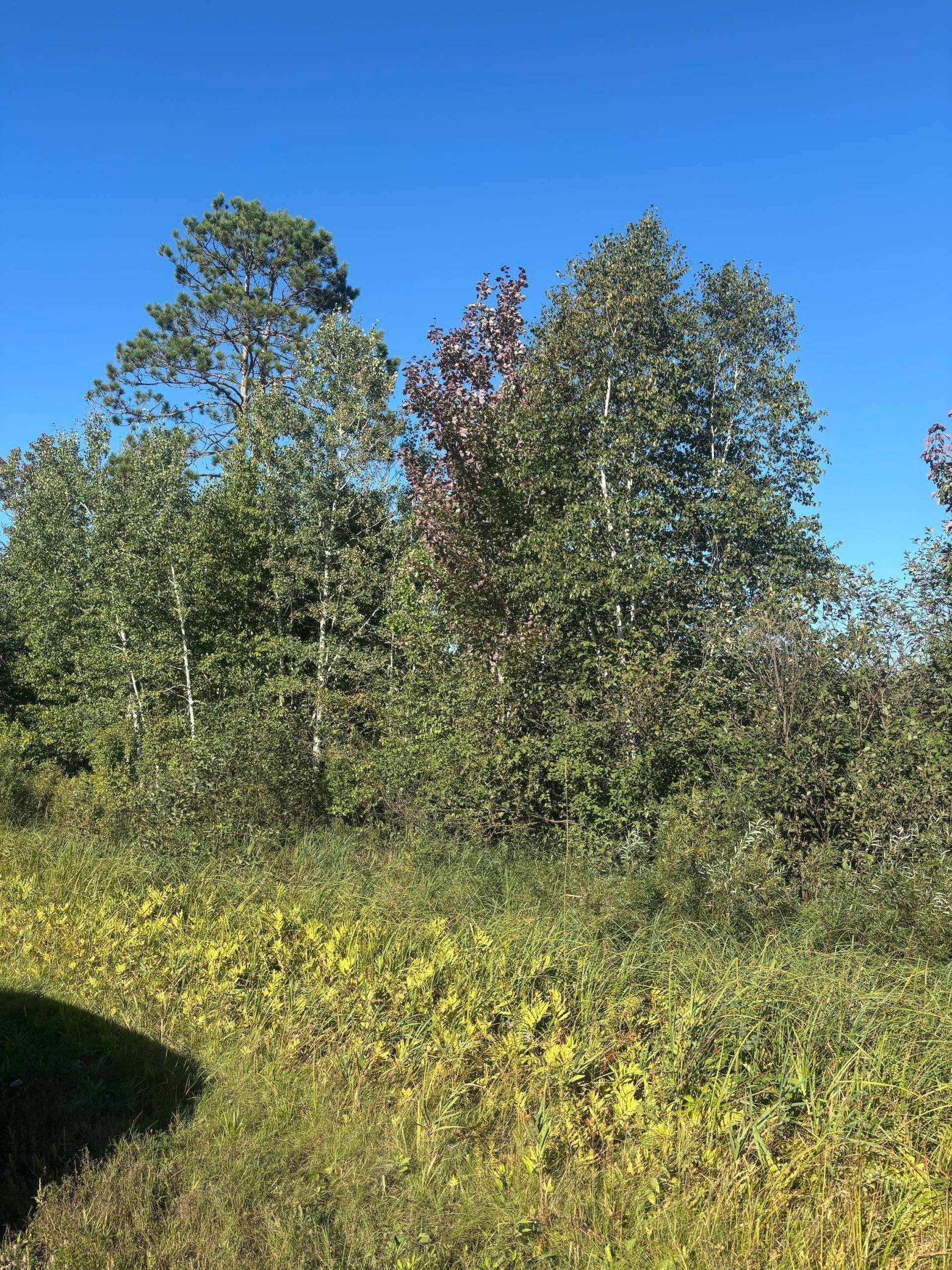 Property photo for 8360 S Old 11 Road, Solon Springs, WI 54873