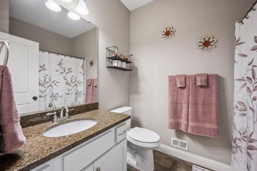 1183 Willowbrook Circle, Delano, MN 55328