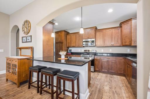 1183 Willowbrook Circle, Delano, MN 55328