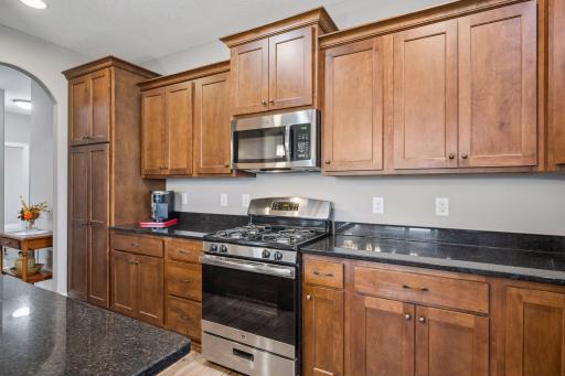 1183 Willowbrook Circle, Delano, MN 55328