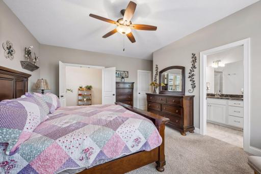1183 Willowbrook Circle, Delano, MN 55328