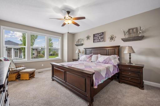 1183 Willowbrook Circle, Delano, MN 55328