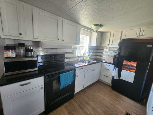 3827 Minuteman Lane, Circle Pines, MN 55014