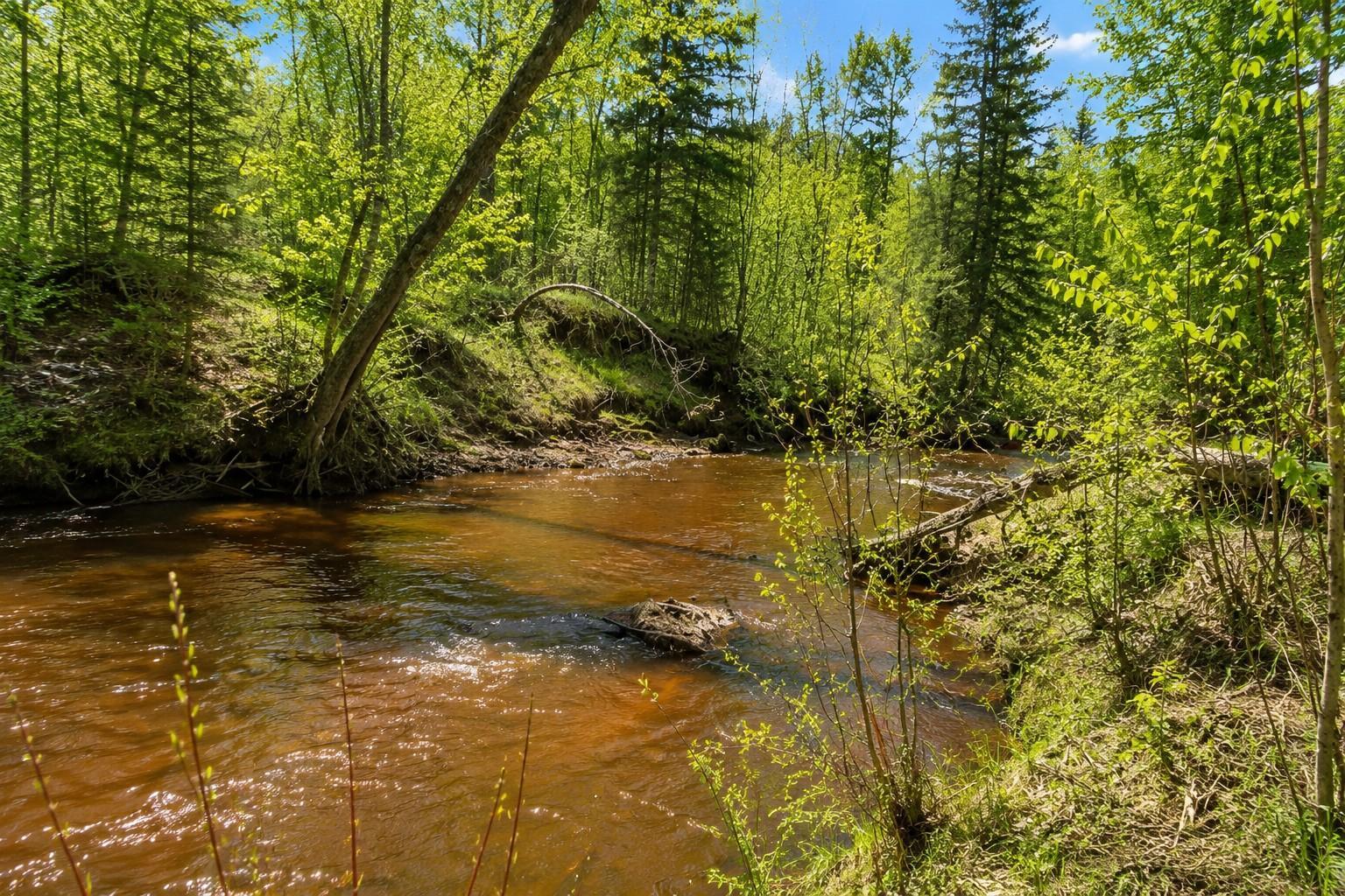 Attention all Hunters!! 40 acres-Near Barnum/Moose Lake with the Nemadji Creek running through it. Also abuts 100's of acres of county land!