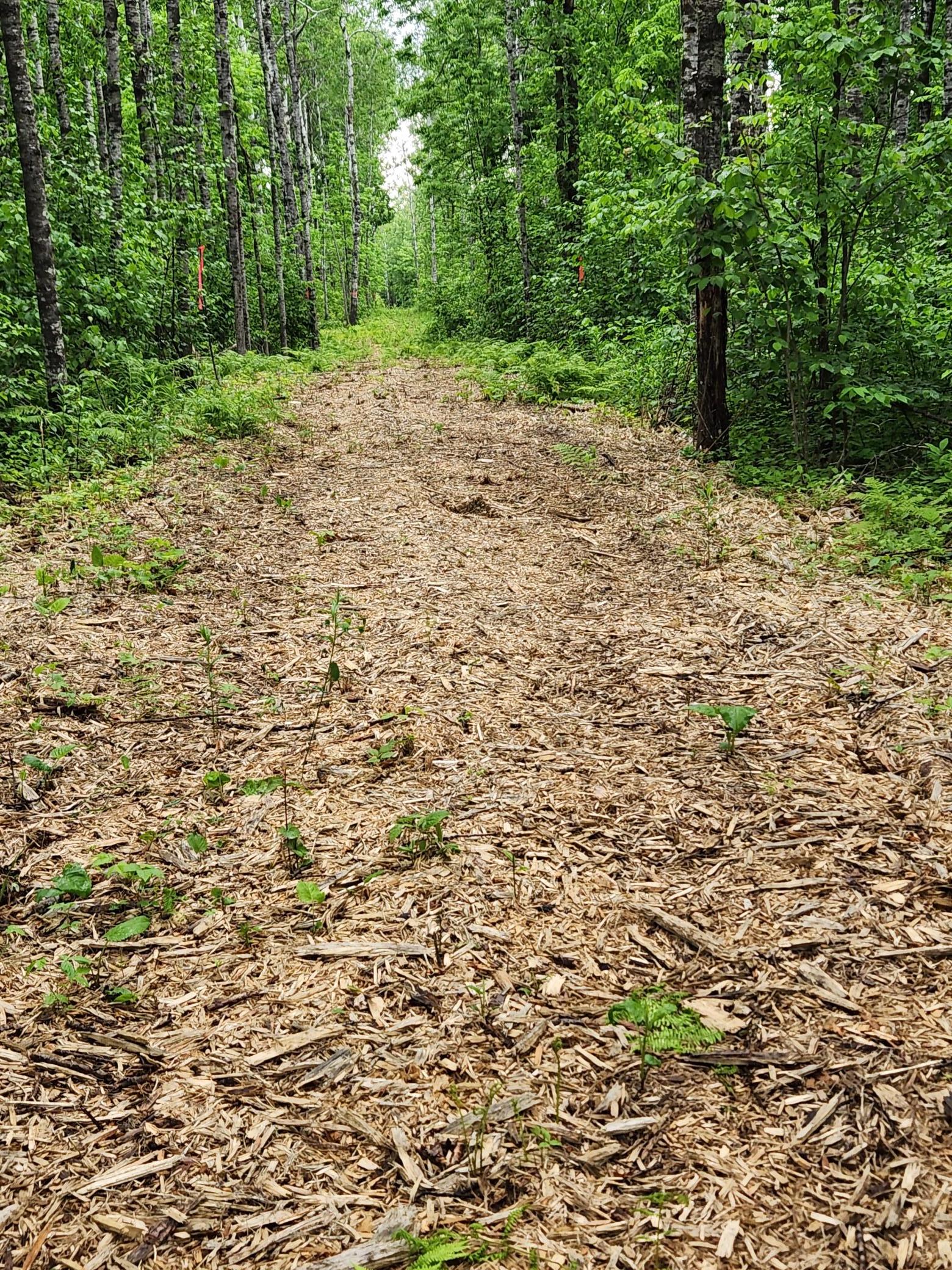 Access off Co Rd 8