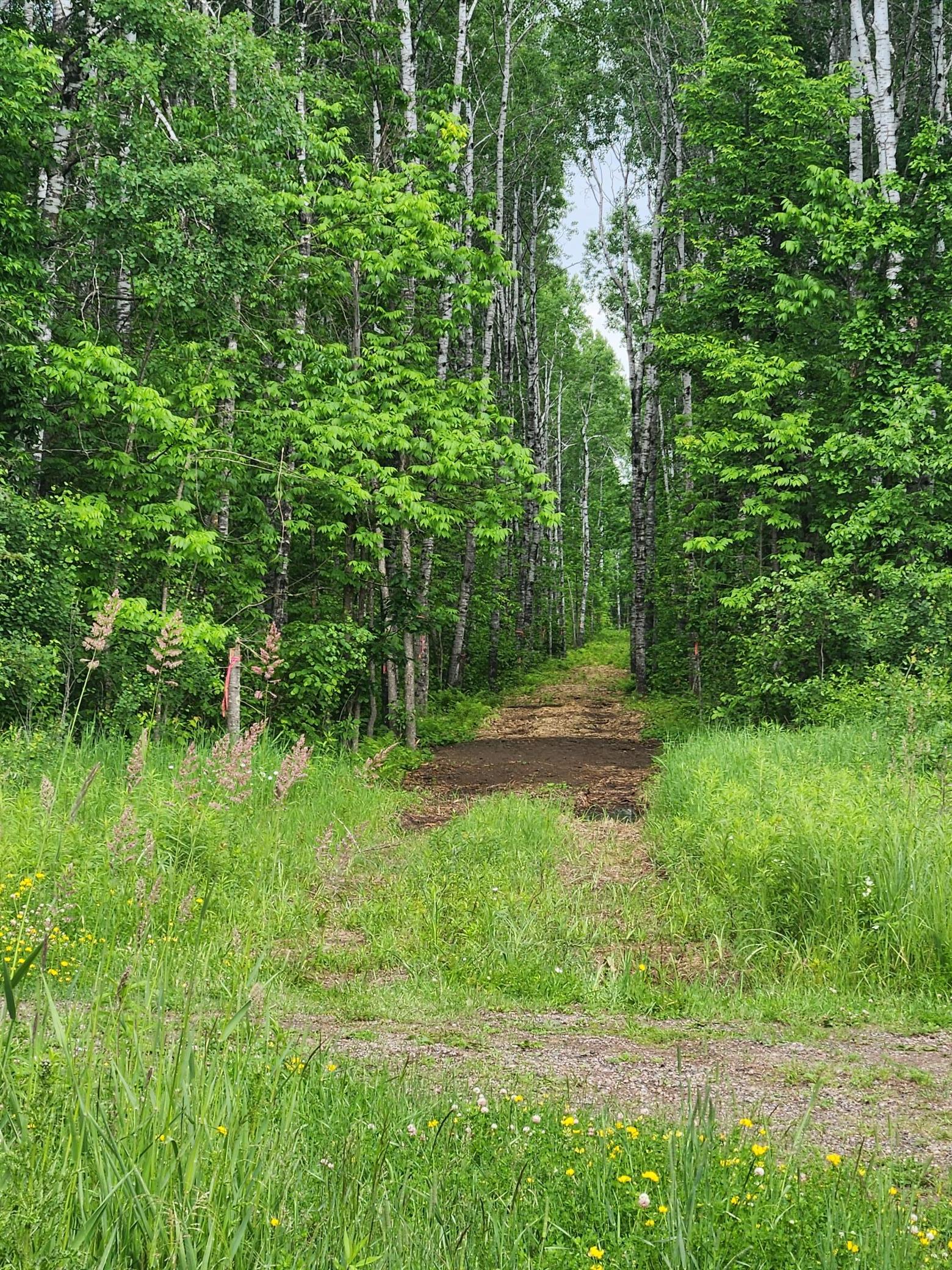 Access off Co Rd 8