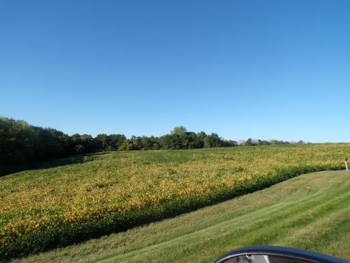 100_0129.JPG