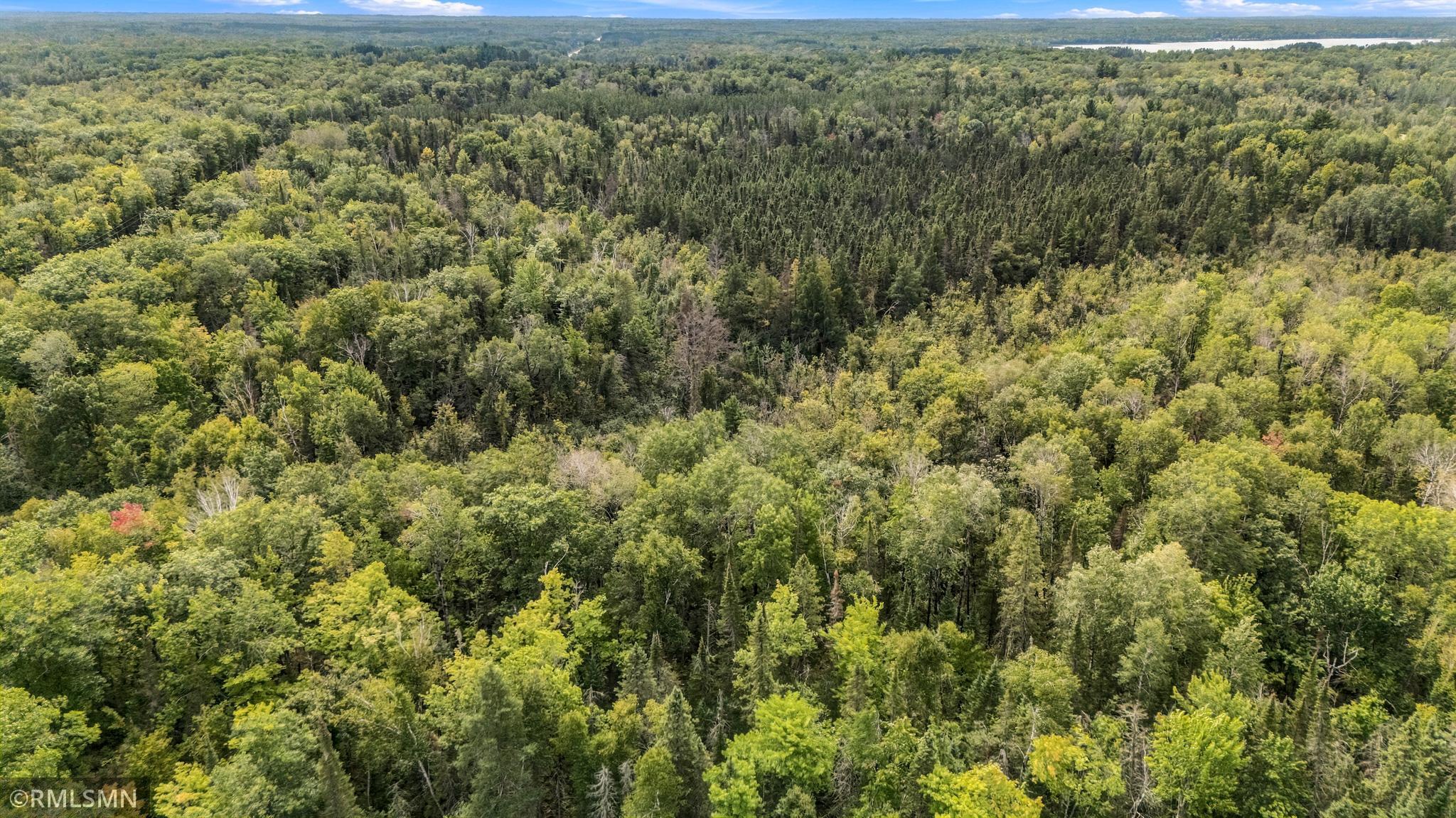 good mix of trees
