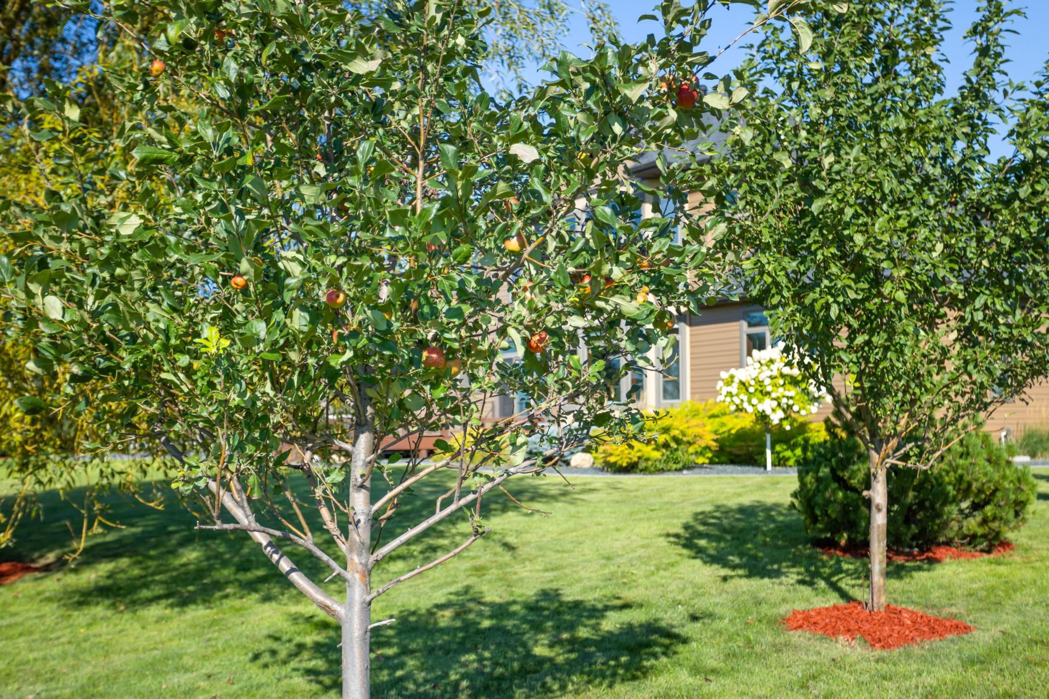 4856 2nd St SW Moorhead