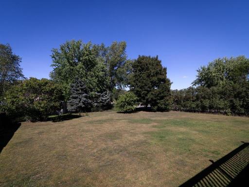Large fenced backyard