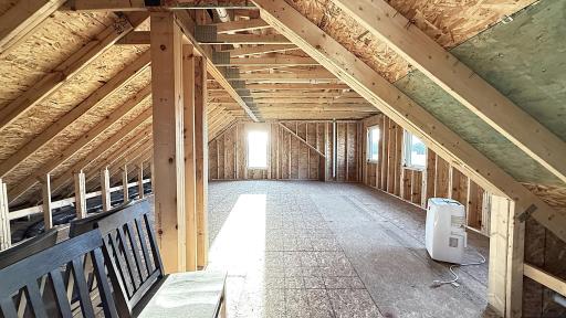 Potential Future Ensuite