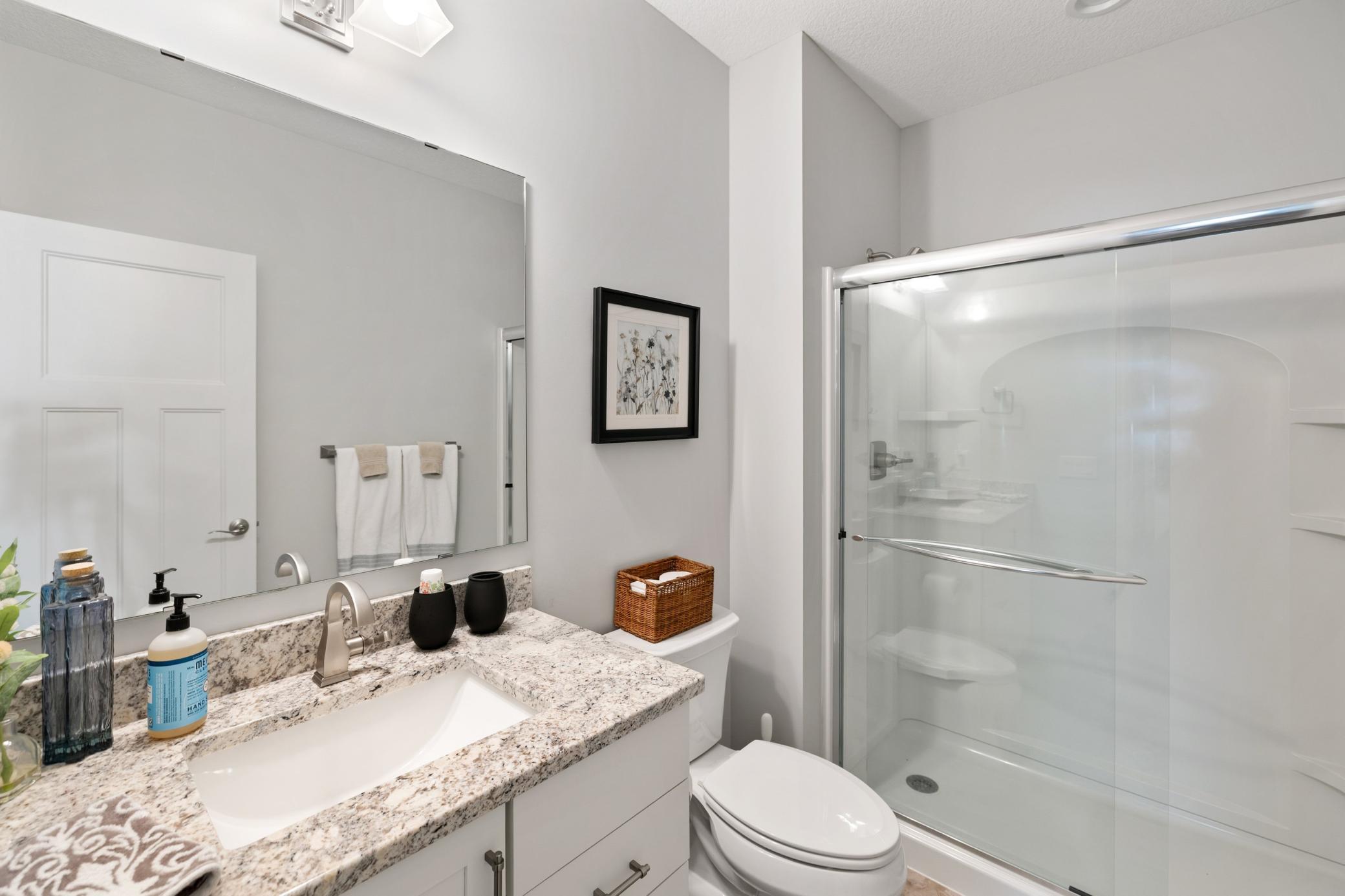Lower Level Bath - Ensuite